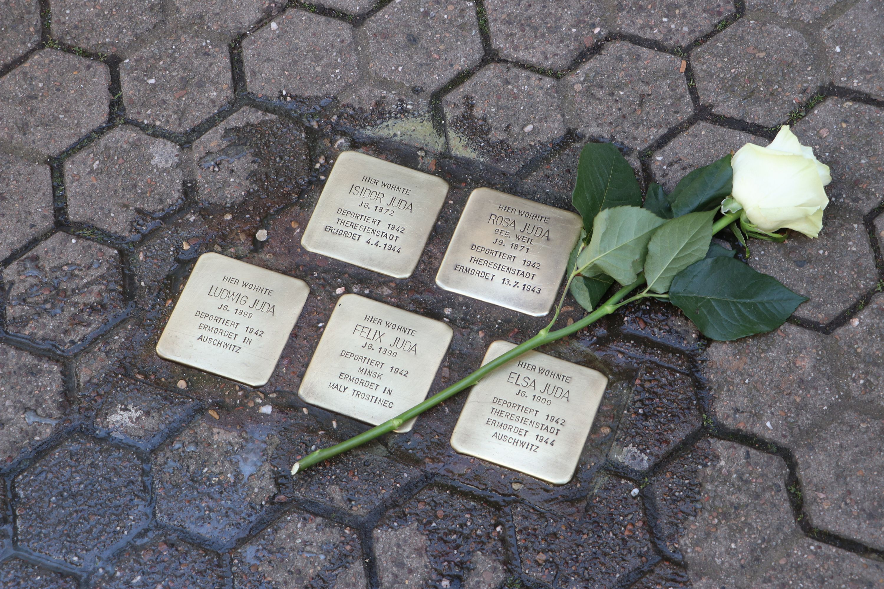 Als Zeichen der Anteilnahme legten die Anwesenden Rosen zu den Stolpersteinen. (Foto: Sophia Bonnaire)