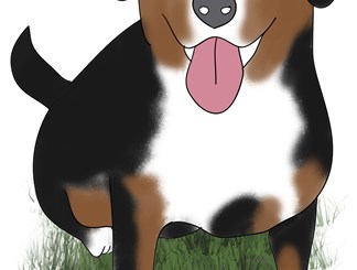 Hund an-melden oder ab-melden