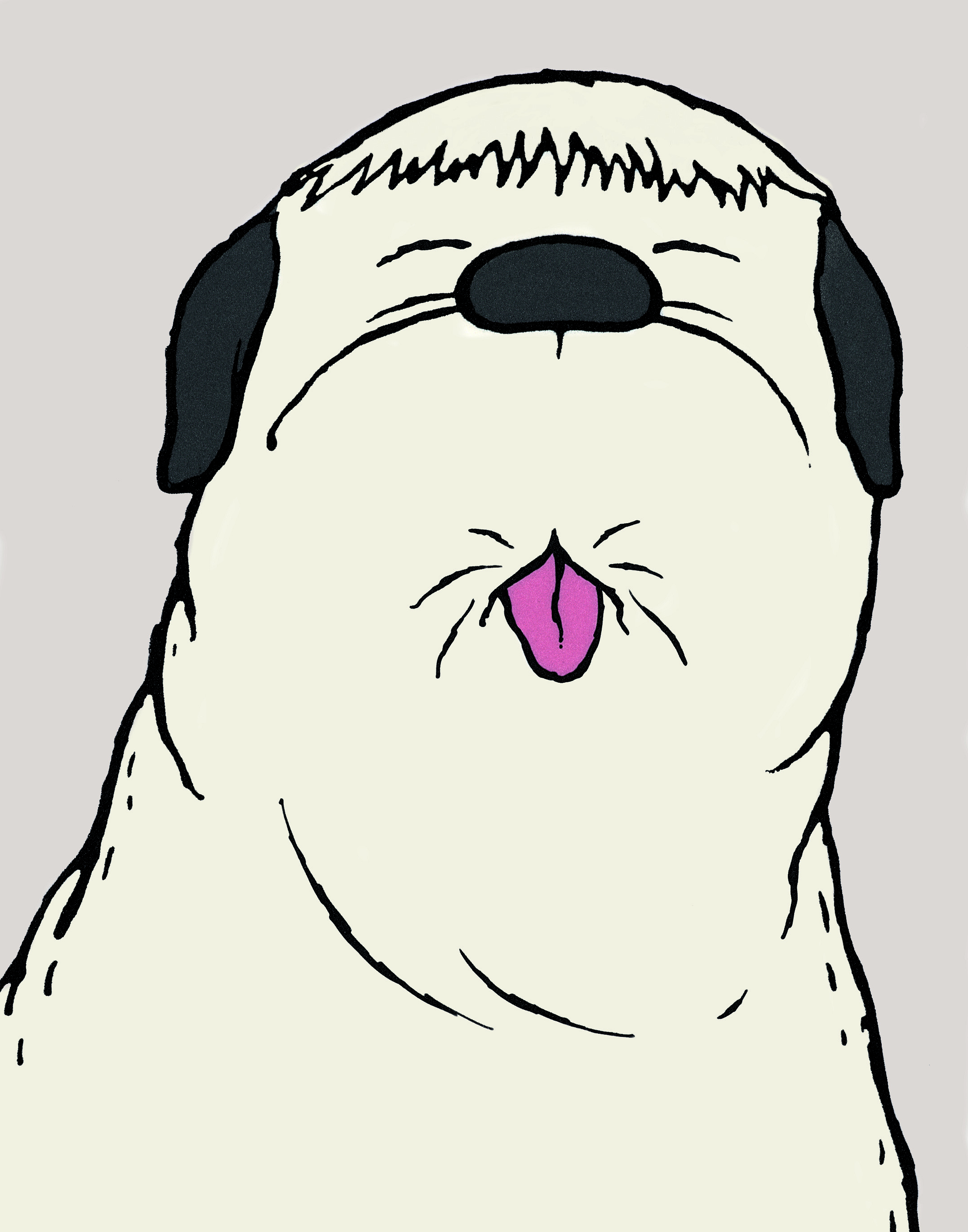 Hunde, Möpse und Figuren. Ein Zeichenkurs für Jugendliche und Erwachsene  (3)