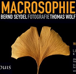 Vernissage der Ausstellung „Katalog des Lebens“ – Thomas Wolf und Bernd Seydel