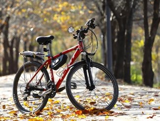 Erfolgreich gestartet!